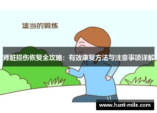 肾脏损伤恢复全攻略:有效康复方法与注意事项详解 肾脏损伤恢复全攻略:有效康复方法与注意事项详解