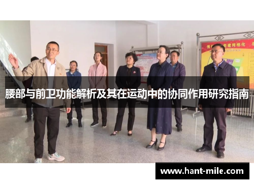 腰部与前卫功能解析及其在运动中的协同作用研究指南 腰部与前卫功能解析及其在运动中的协同作用研究指南