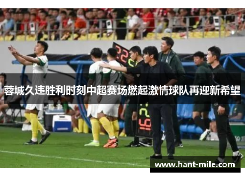 蓉城久违胜利时刻中超赛场燃起激情球队再迎新希望 蓉城久违胜利时刻中超赛场燃起激情球队再迎新希望