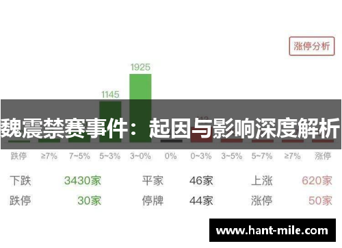 魏震禁赛事件：起因与影响深度解析