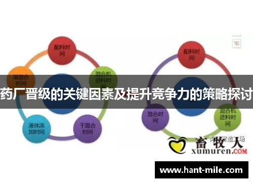 药厂晋级的关键因素及提升竞争力的策略探讨