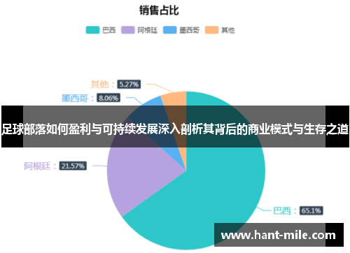 足球部落如何盈利与可持续发展深入剖析其背后的商业模式与生存之道