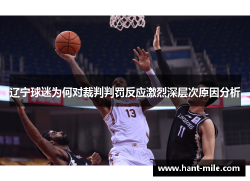 辽宁球迷为何对裁判判罚反应激烈深层次原因分析